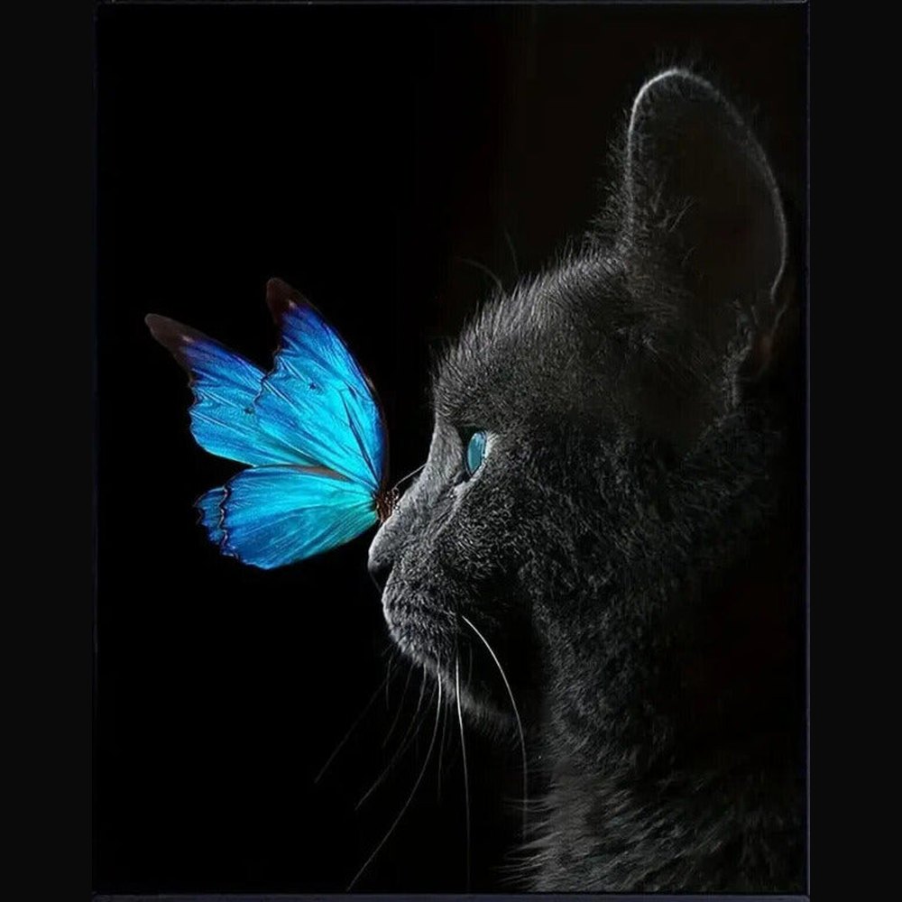 Blue Butterfly And Black Cat Stunning Vibrant Art Print 16" X 24" New! Art:Art Prints Style Your Walls